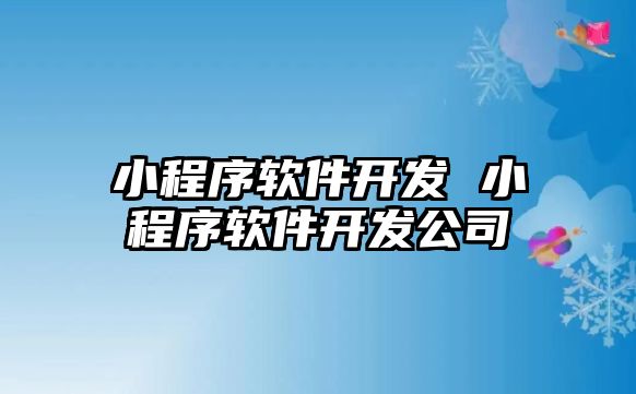 小程序軟件開發(fā) 小程序軟件開發(fā)公司