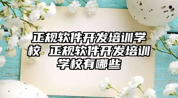 正規(guī)軟件開發(fā)培訓(xùn)學(xué)校 正規(guī)軟件開發(fā)培訓(xùn)學(xué)校有哪些