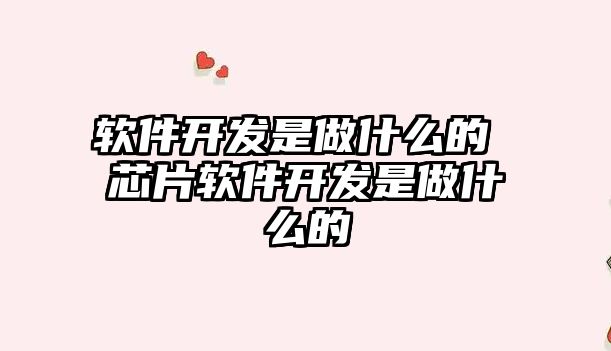 軟件開發(fā)是做什么的 芯片軟件開發(fā)是做什么的