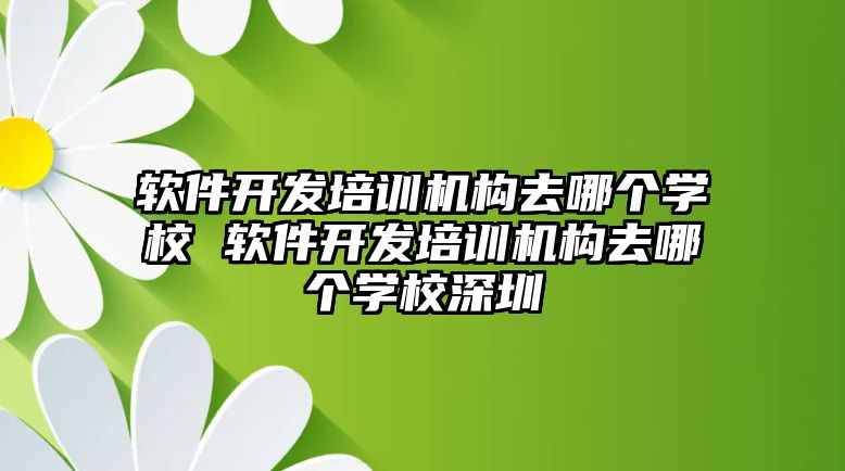 軟件開發(fā)培訓機構去哪個學校 軟件開發(fā)培訓機構去哪個學校深圳