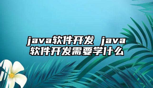 java軟件開發(fā) java軟件開發(fā)需要學什么