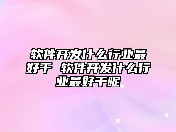 軟件開發(fā)什么行業(yè)最好干 軟件開發(fā)什么行業(yè)最好干呢