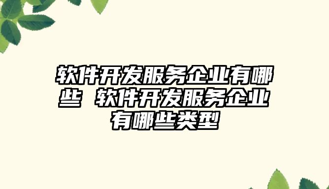 軟件開發(fā)服務(wù)企業(yè)有哪些 軟件開發(fā)服務(wù)企業(yè)有哪些類型