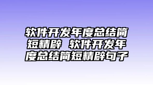 軟件開發(fā)年度總結(jié)簡(jiǎn)短精辟 軟件開發(fā)年度總結(jié)簡(jiǎn)短精辟句子