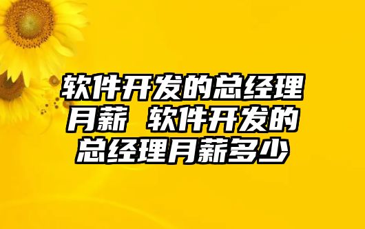 軟件開發(fā)的總經(jīng)理月薪 軟件開發(fā)的總經(jīng)理月薪多少