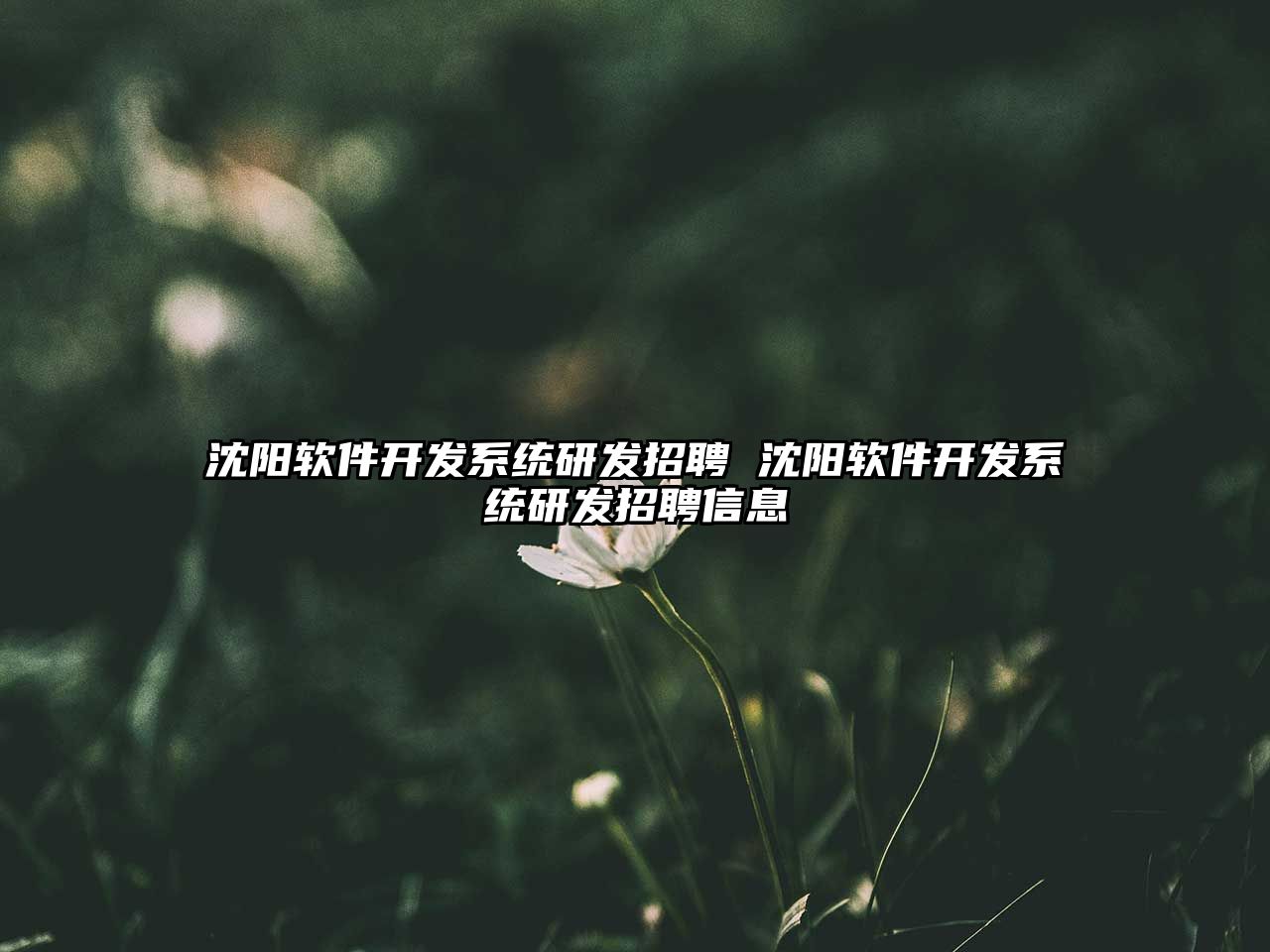 沈陽軟件開發(fā)系統(tǒng)研發(fā)招聘 沈陽軟件開發(fā)系統(tǒng)研發(fā)招聘信息