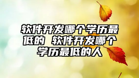 軟件開發(fā)哪個(gè)學(xué)歷最低的 軟件開發(fā)哪個(gè)學(xué)歷最低的人