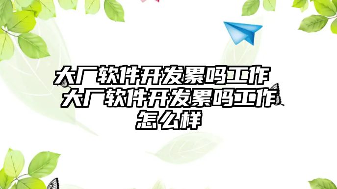 大廠軟件開發(fā)累嗎工作 大廠軟件開發(fā)累嗎工作怎么樣